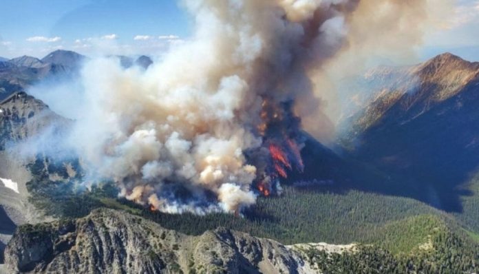 Human-driven climate crisis doubled risk of Canada’s extreme wildfire, study finds